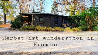Ferienhaus Bucheneck perfekt für Familien & größere Gruppen im Seenland Lausitz - Kromlau - 8