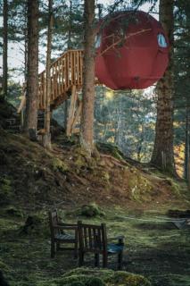 the tree tent highland hangout - 3