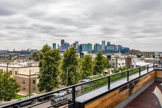 Luxury 5-Bedroom Home in LoHi - 9