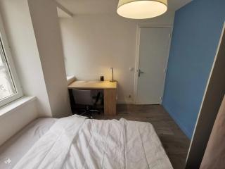 Chambre chez l'habitant- Saint-Étienne, France - Saint-Étienne - 8