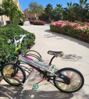 Mangroovy - Buena Vista Pool and Marina views - 9