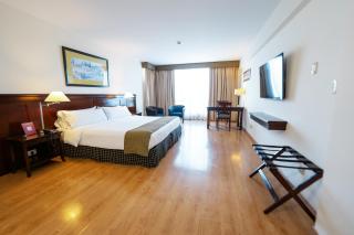 Amérian Executive Mendoza Hotel - Mendoza - 9