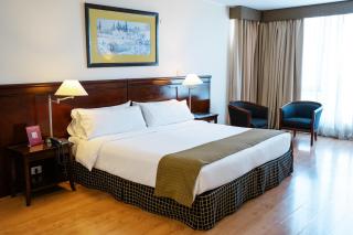 Amérian Executive Mendoza Hotel - Mendoza - 0