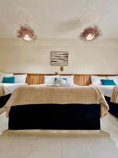 Hotel cacao spa cozumel - 0