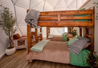 Luxury on the Edge of Traverse City -7 - Williamsburg - 7