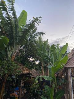 Kijijishamba - Mto wa Mbu - 3