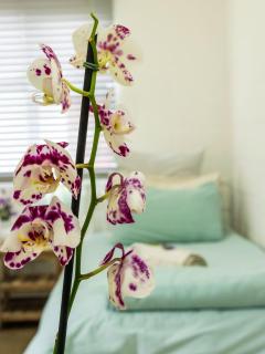 Ria's Rest Self Catering Flatlet - 1