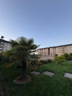 PARQUE AL VOLCAN VILLARRICA - 9