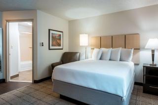Sonesta Simply Suites Dallas Richardson - Dallas - 7