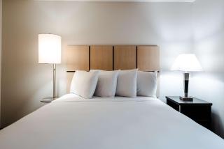 Sonesta Simply Suites Dallas Richardson - 6