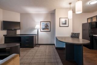 Sonesta Simply Suites Dallas Richardson - 4