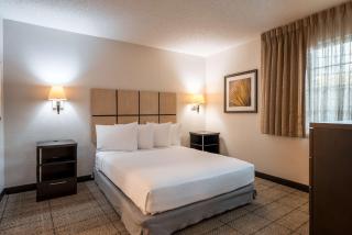 Sonesta Simply Suites Dallas Richardson - 2