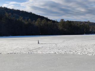 Cozy Adirondack JEM Your Four Season Getaway - Chestertown - 4