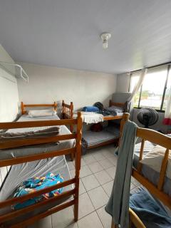 Flora e Fauna Hostel - 4