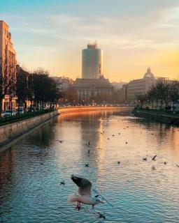 Cozy Plevnei - Bucharest - 8