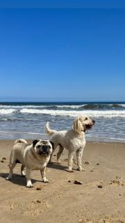 April Cottage - Bacton - 9