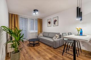 Apartament w centrum II, PW INVEST HOME - Kędzierzyn-Koźle - 0