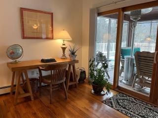 Charming home - views of Hunter Mountain slopes - Hunter - 1