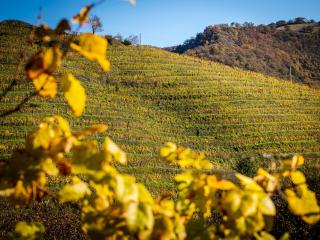 Hotel Restaurant Pecoitz - 7