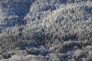 Maison de montagne Serre Chevalier - Saint-Chaffrey - 9