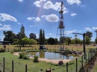 El Reencanto - 9