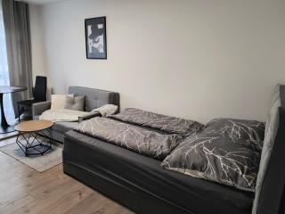 Apartment Regensburg City - Ratisbona - 4