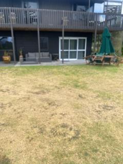Beach across the road - Waihi Beach - 8
