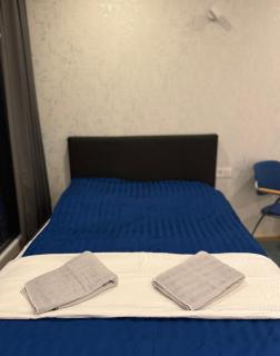 ESER Luxury Apartments - Bad Bellingen - 5