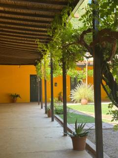 Posada San Eduardo - Barreal - 5