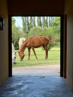 Posada San Eduardo - 4