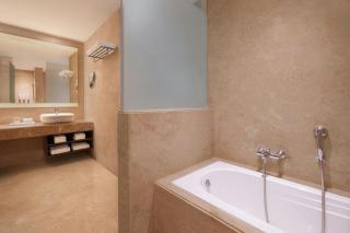 Renaissance Ahmedabad, A Premium Marriott Hotel - 8