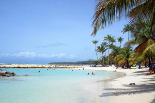 2 logements indépendants à 200m de la plage du bourg de Sainte-Anne - 9