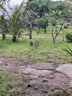 Cnunk Bungalow - Gili Meno - 6
