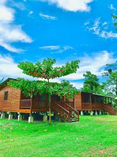 Eco Cabañas El Cacao - - 9
