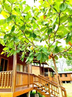 Eco Cabañas El Cacao - - 8