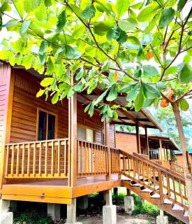 Eco Cabañas El Cacao - - 5