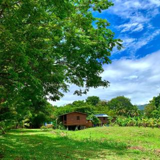 Eco Cabañas El Cacao - - 2