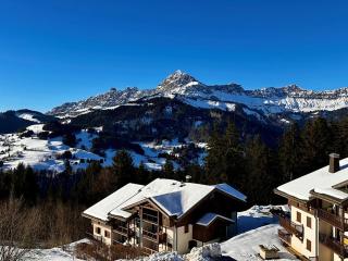 Duplex tout confort pour 4 pers. proche pistes, avec balcon et parking - FR-1-733-163 - Crest-Voland - 1