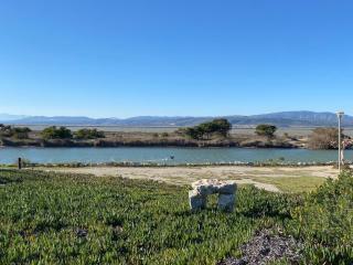 Port Leucate : Villa Studio Mezzanine, Climatisée, Animaux -10kg, Parking, 4 Pers. - FR-1-798-54 - 6