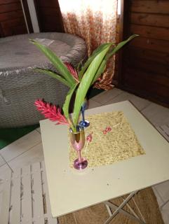 Bungalow Steens - Le Gosier - 1