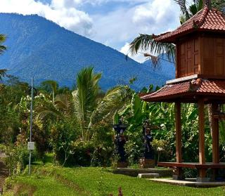Rumah Pacung - Penebel - 1