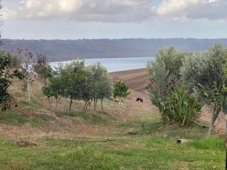 Dar Tawess - Douar Oulad Jaber - 3