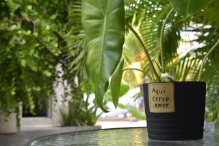 La casa del pescador Holbox - 6