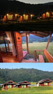 บ้านพักป้าซู อินทนนท์ - - 2