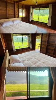 บ้านพักป้าซู อินทนนท์ - - 1