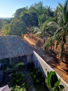 Hotel Boutique Pikiliki - ADULTS ONLY - Brisas de Zicatela - 7