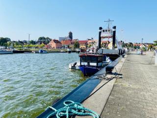Das gelbe Haus am Hafen - Wolgast - 4
