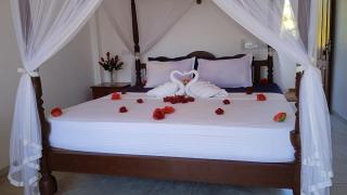 PearlDrop Waves Mirissa - 9