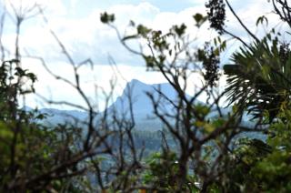 Spring Hill Homestay - Kandy - 6