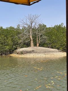 N'guerigne bambara - 4